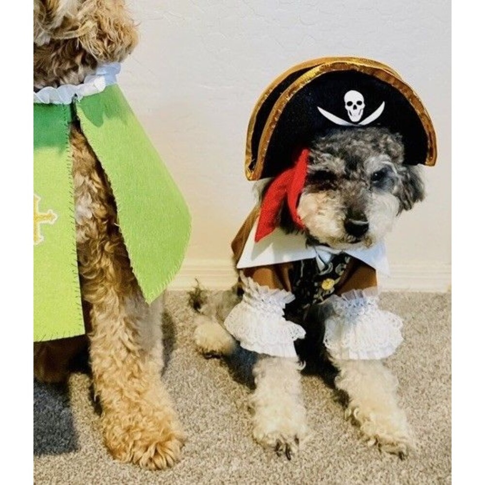 Handmade Dog/Pet Pirate Costume Size S Swashbuckler